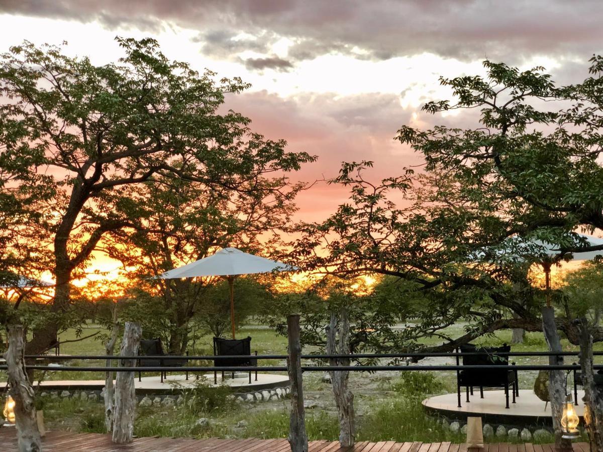Etosha Oberland Lodge Okaukuejo Zewnętrze zdjęcie