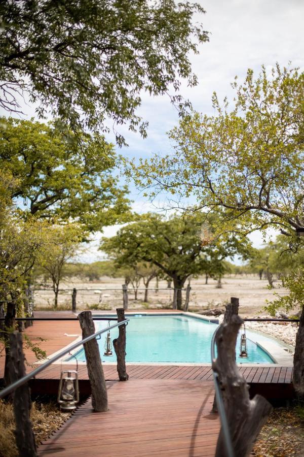 Etosha Oberland Lodge Okaukuejo Zewnętrze zdjęcie